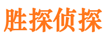 无为市侦探公司